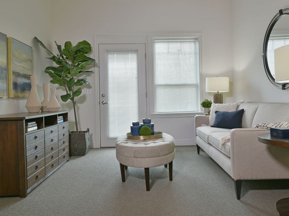 A modern living room with a sofa, coffee table, and decorative plants.