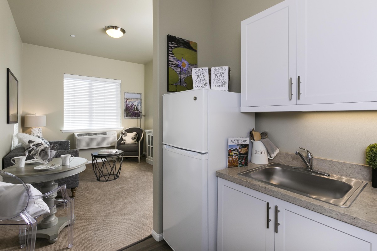 A compact apartment interior with a small kitchen area and adjacent living room.