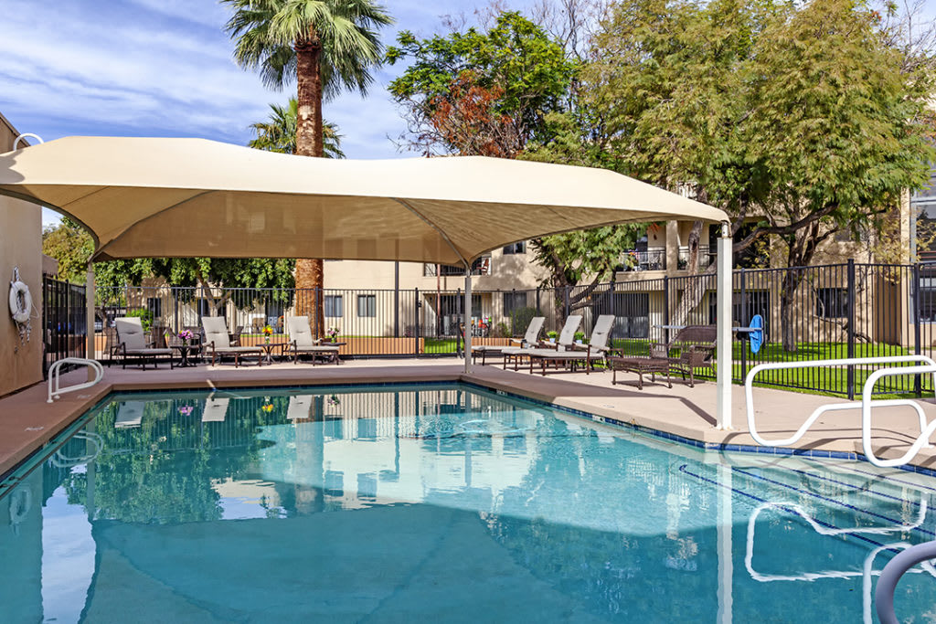 An outdoor swimming pool with a canopy, surrounded by palm trees and lounge chairs.