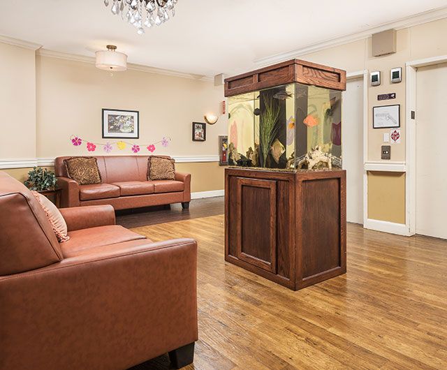 A cozy waiting room featuring comfortable sofas and a central aquarium on a hardwood floor.