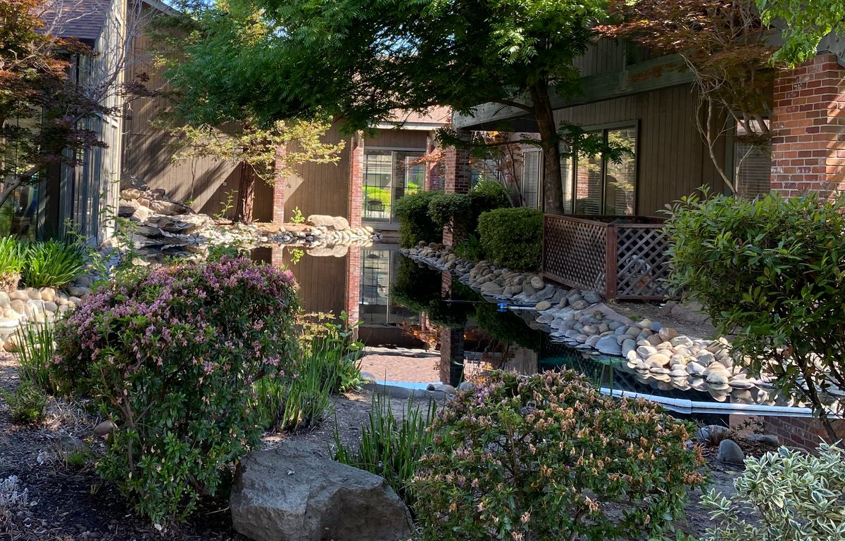 Pacifica Senior Living - Citrus Heights