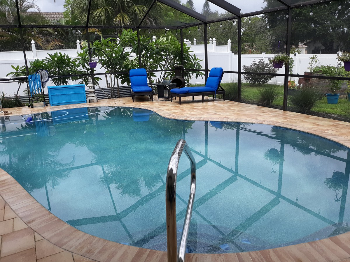 A serene backyard pool area with blue lounge chairs and tropical plants.