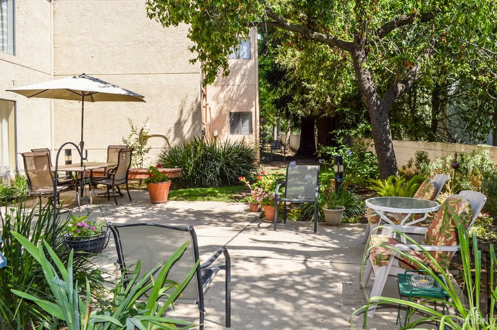 A tranquil outdoor patio area surrounded by lush greenery and comfortable seating.