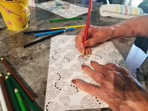 A close-up of hands coloring in a patterned design with colored pencils, showcasing the joy of creative expression.