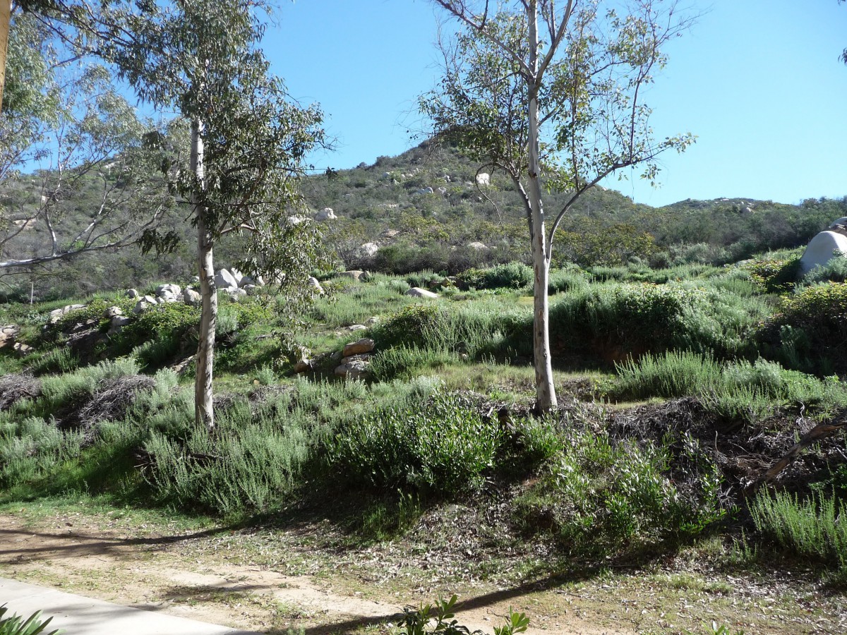 The Gateway & Gateway Gardens
