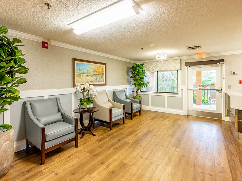 A bright, welcoming waiting room with comfortable seating and tasteful decor.