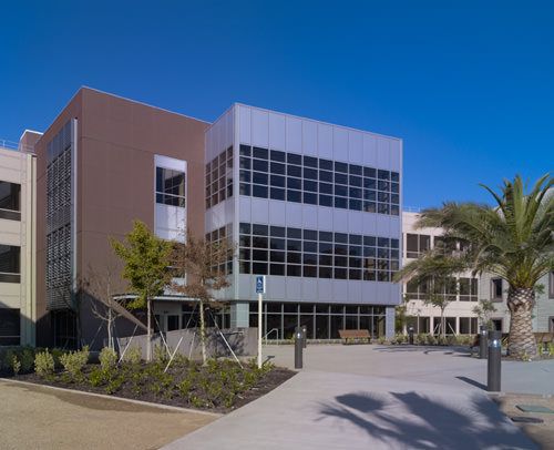A modern building with large glass windows and palm trees in an outdoor setting.