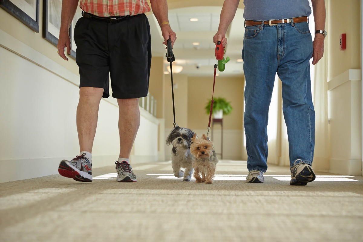 Two people walking dogs on leashes indoors.
