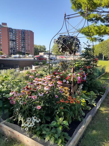 A vibrant urban garden filled with blooming flowers, set against a backdrop of city buildings.