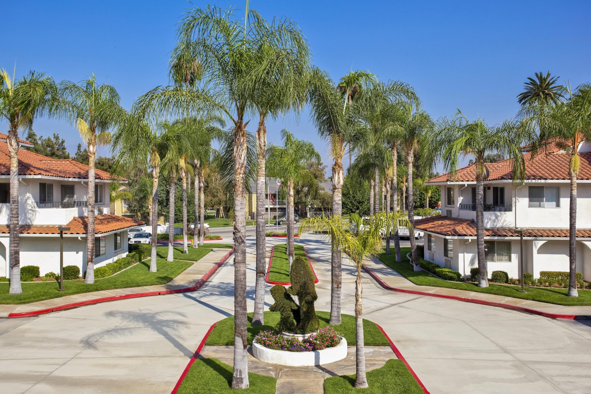 A sunny suburban residential area with palm trees and landscaped driveways.