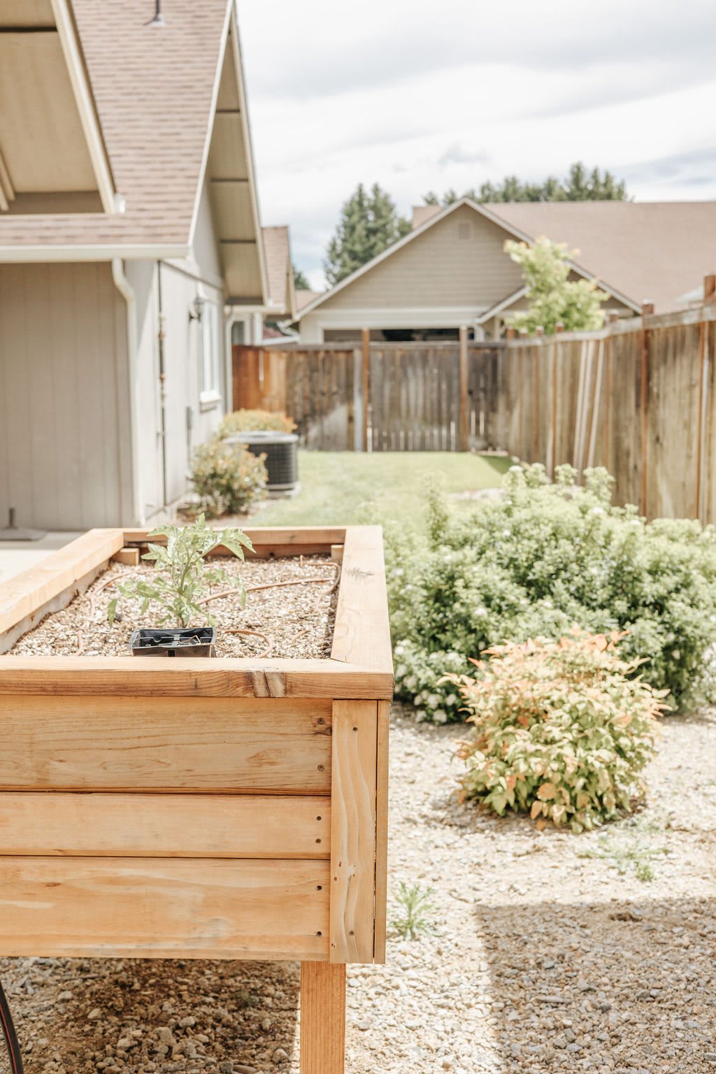 A backyard garden with a wooden raised bed and neatly maintained lawn.