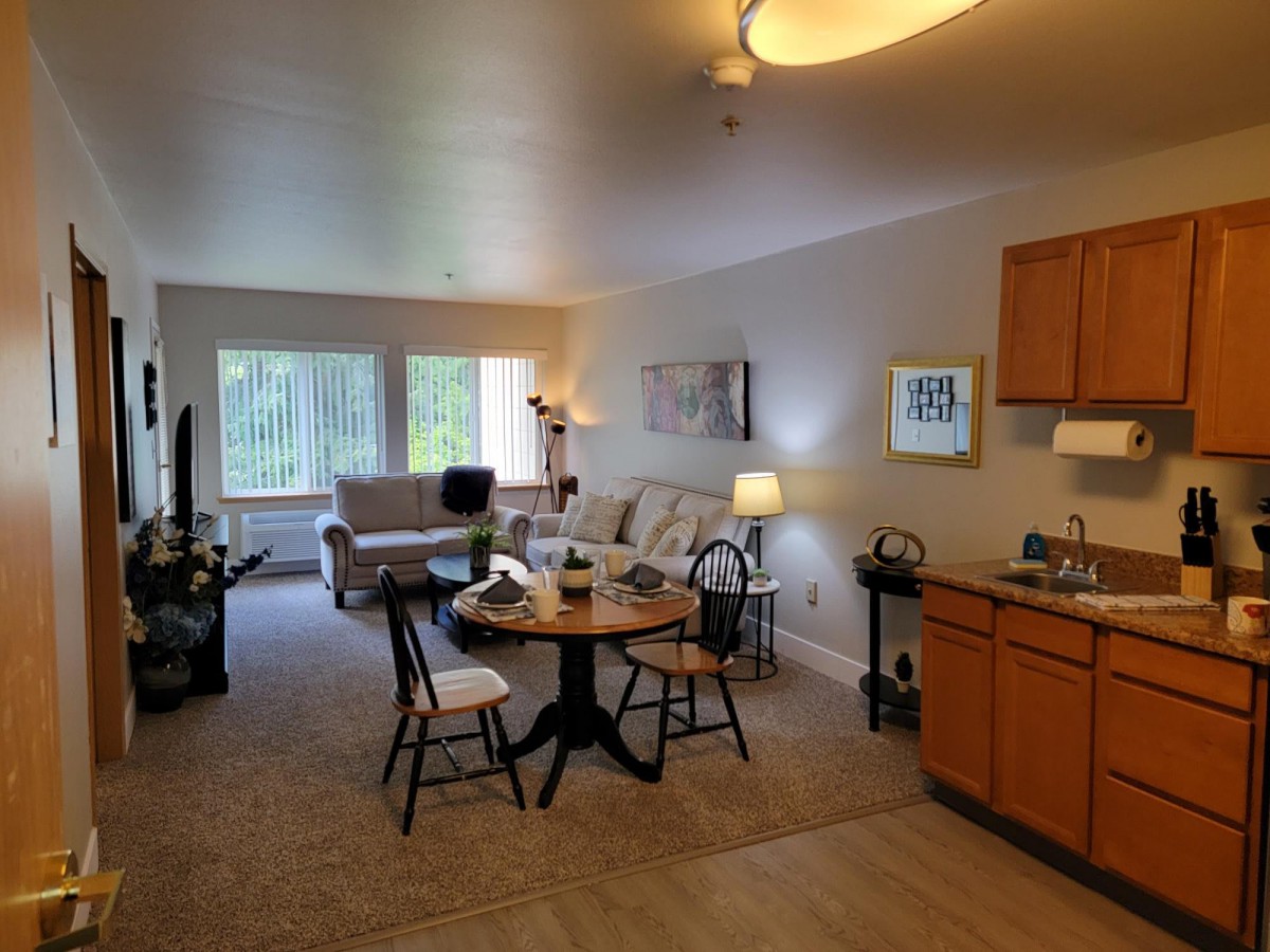 A cozy apartment living space featuring an open-plan kitchen, dining area, and a comfortable seating area with large windows.
