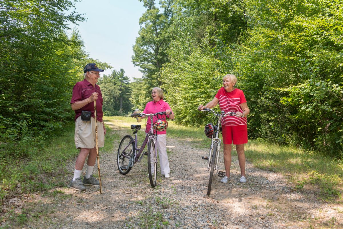 Three people enjoying a biking trip through a wooded trail.