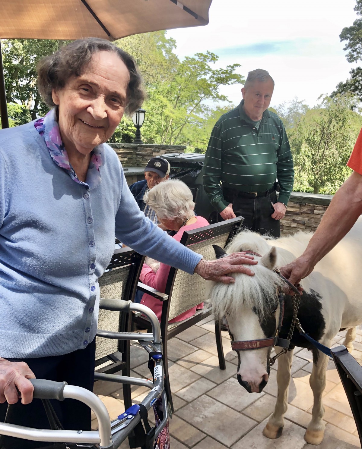 An elderly woman smiles while petting a miniature horse outdoors, surrounded by other people.