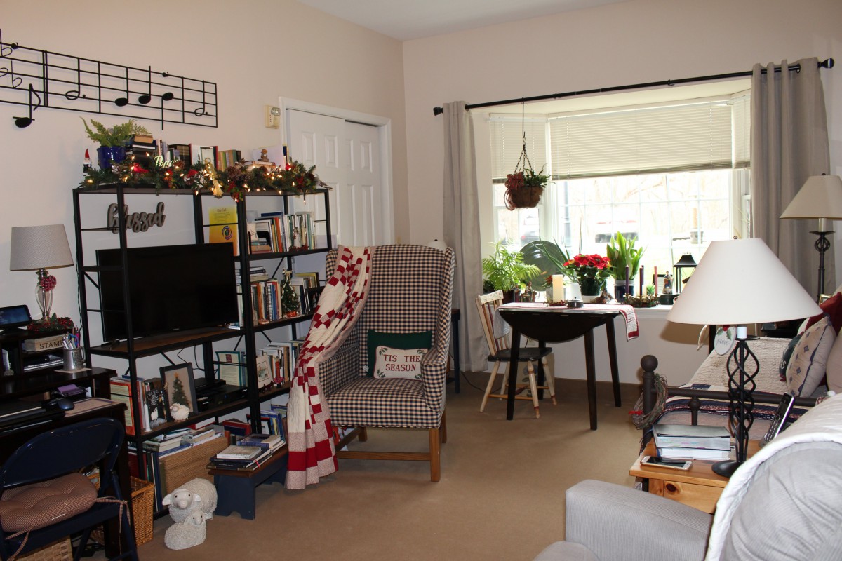 A cozy living room with a television, bookshelves, armchair, and a window with plants on a table.