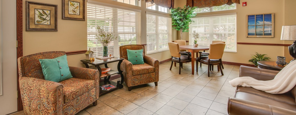 A cozy seating area with comfortable chairs, a small table, and indoor plants illuminated by natural light streaming through window blinds.