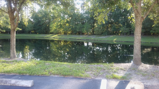 A peaceful scene by the water, reflecting the surrounding greenery.