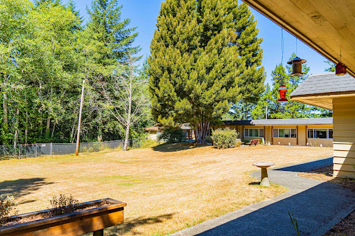 A serene outdoor view showcasing lush trees and a sunny blue sky.