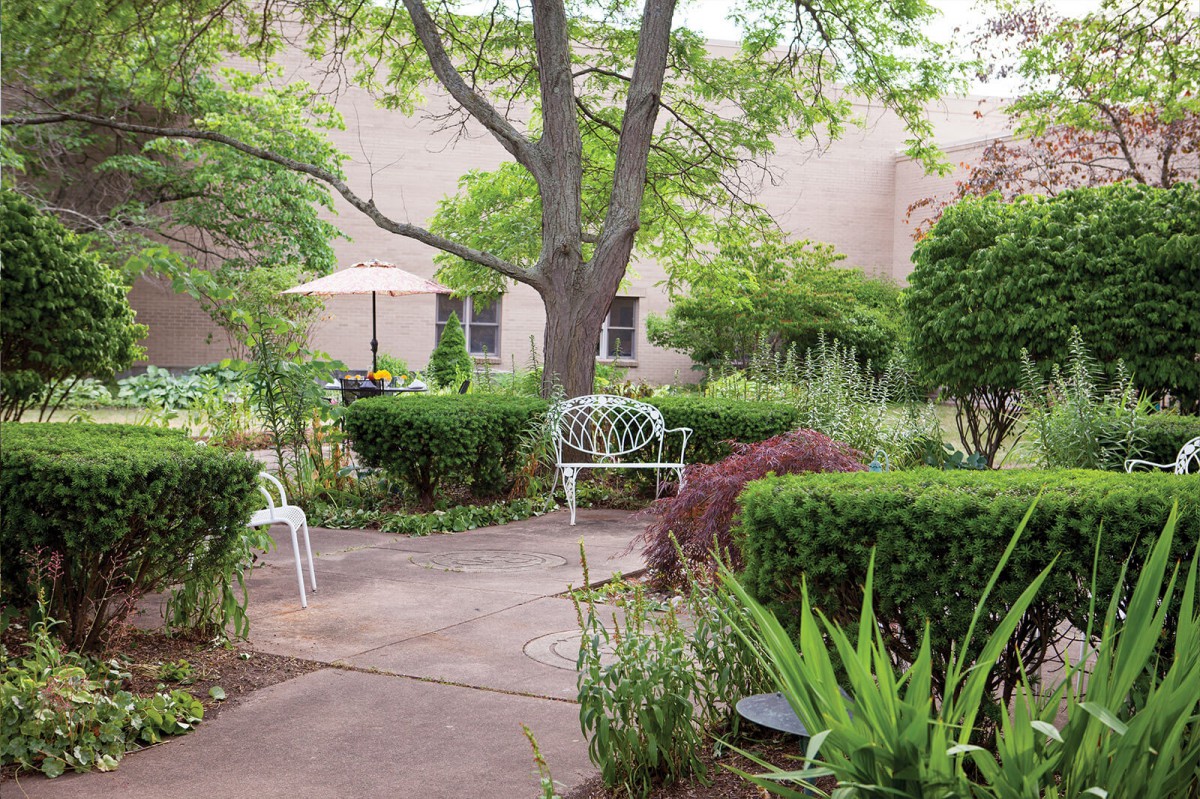 A serene garden with a bench surrounded by lush greenery and trees.