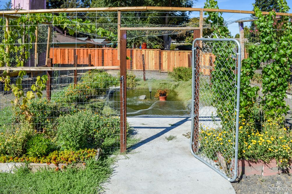 A well-maintained garden with a concrete pathway and fenced area.