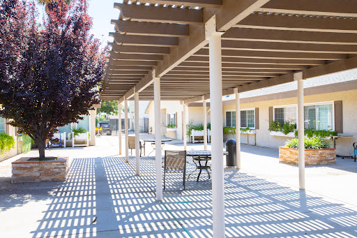 A well-lit outdoor space featuring a pergola, furniture, and landscaped trees, casting distinct shadows on the ground.