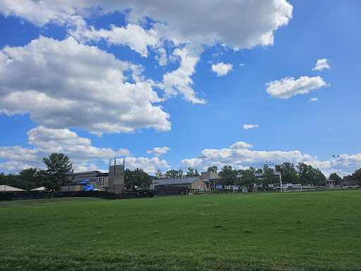 A serene view of a grassy field under a blue sky filled with fluffy clouds.