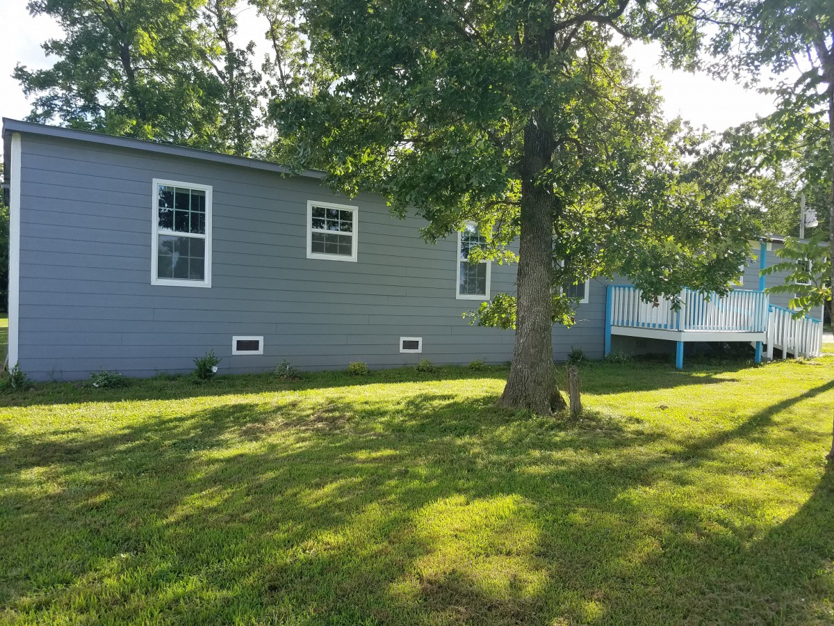 A sunny yard with a tree next to a gray house.