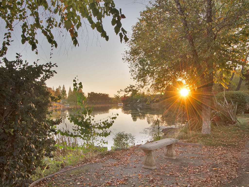 A serene sunset over a lake, framed by trees with a bench nearby.