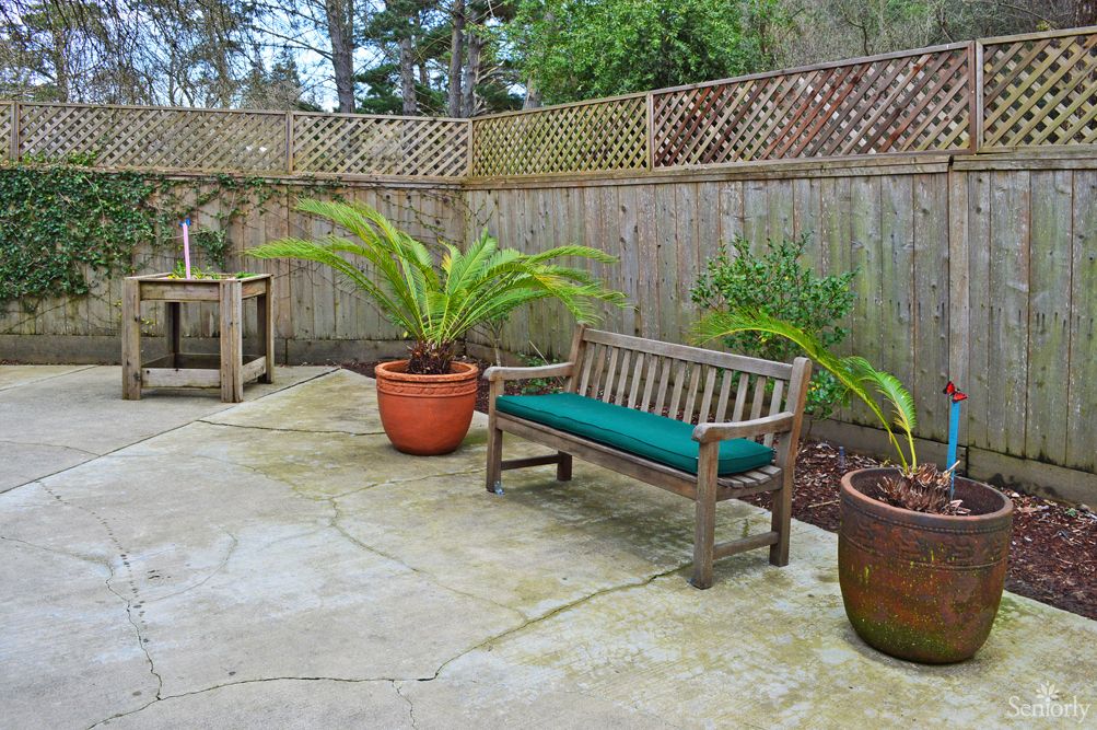A cozy patio featuring a wooden bench with green cushion, surrounded by potted plants and enclosed by a wooden fence.