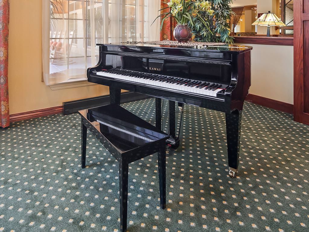 A black piano with a matching bench in a room with patterned carpet and a plant.
