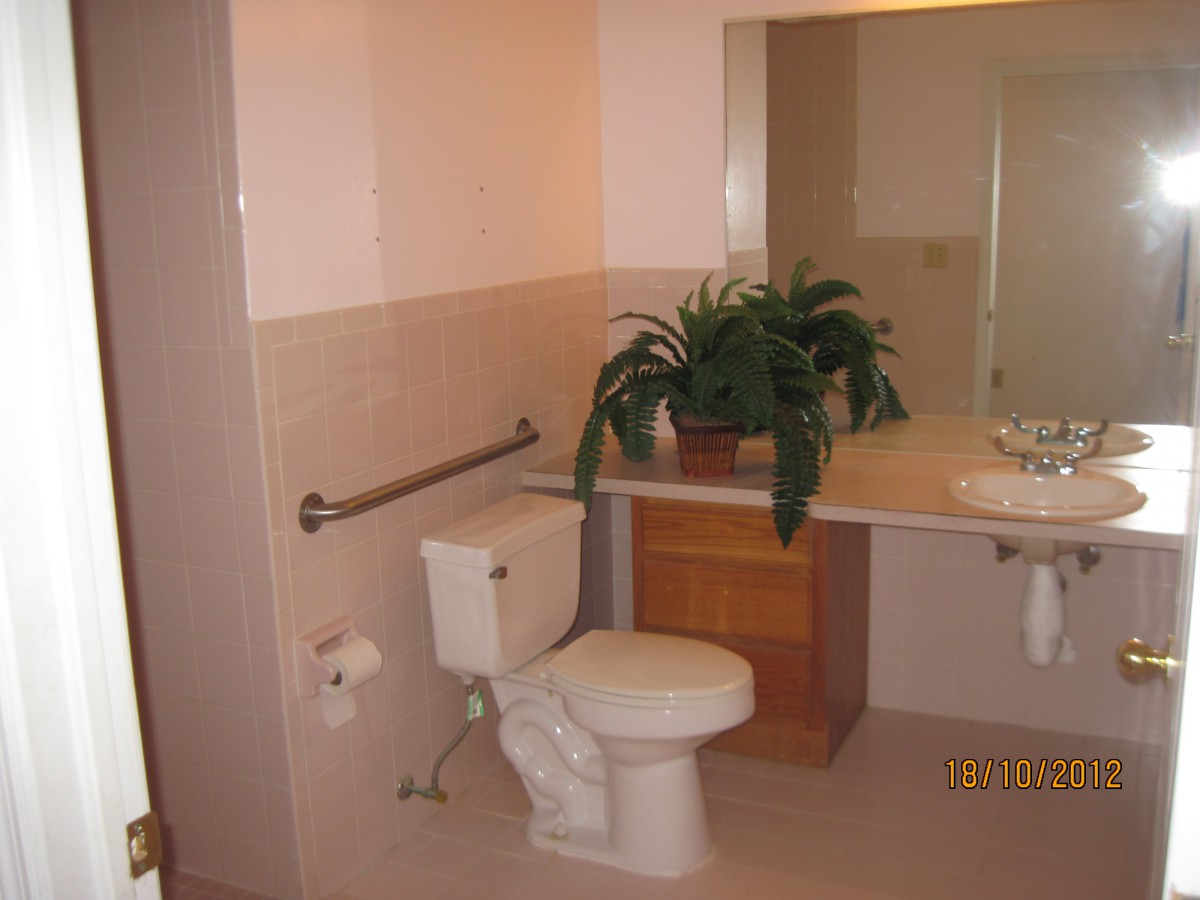 A bathroom featuring a toilet, sink with vanity, mirror, and a potted plant on the countertop.