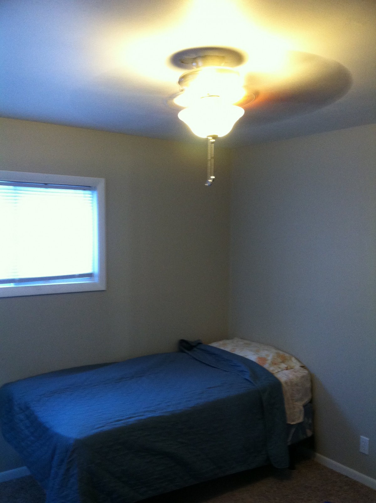 A small bedroom with a single bed and ceiling fan.