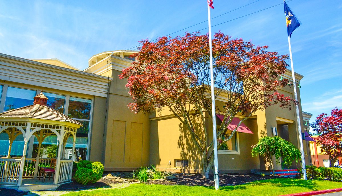 A modern building with a large tree and flagpole in the foreground on a sunny day.