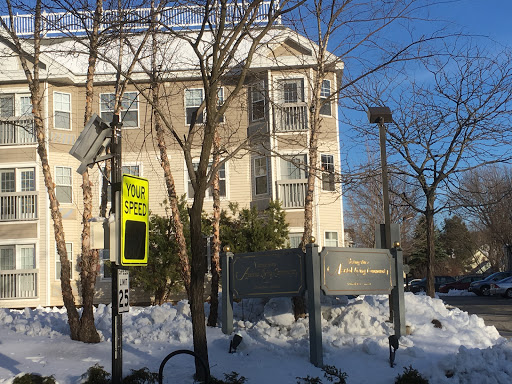 A snow-covered urban scene featuring a building surrounded by bare trees and street signs.