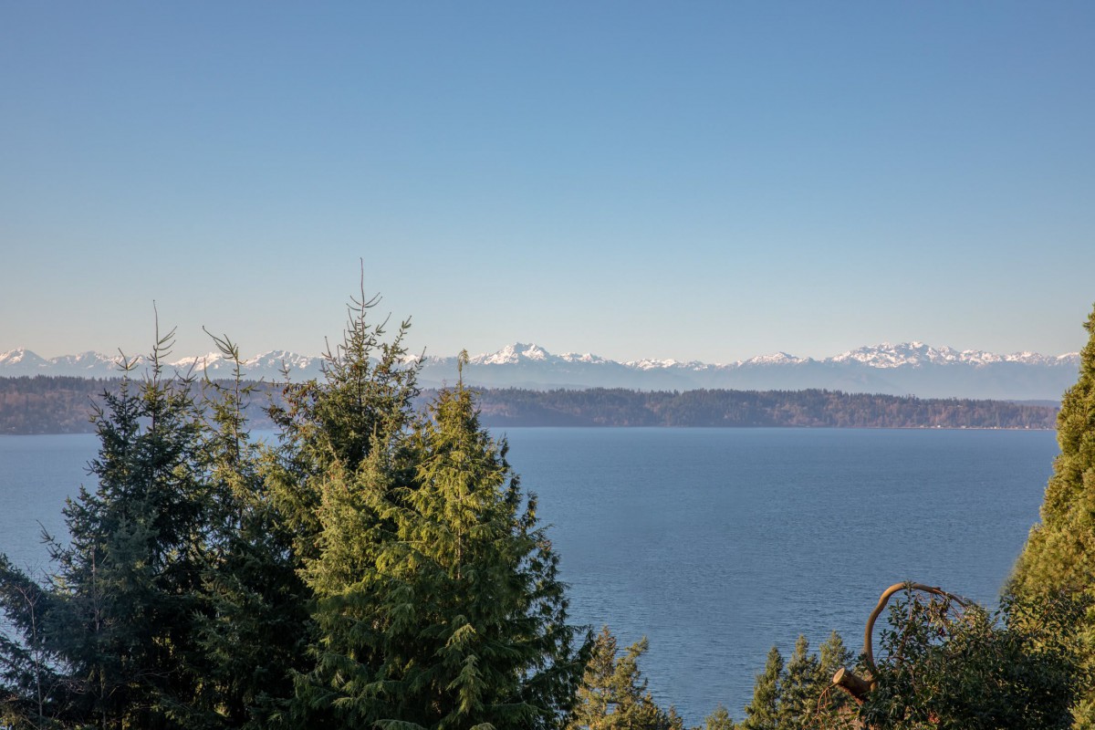 A scenic view of the ocean with evergreen trees in the foreground and snow-capped mountains in the distance under a clear blue sky.