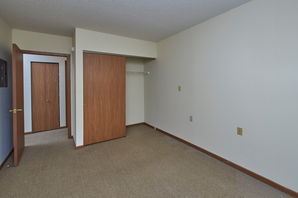 A vacant room with a closet and carpeted floor.