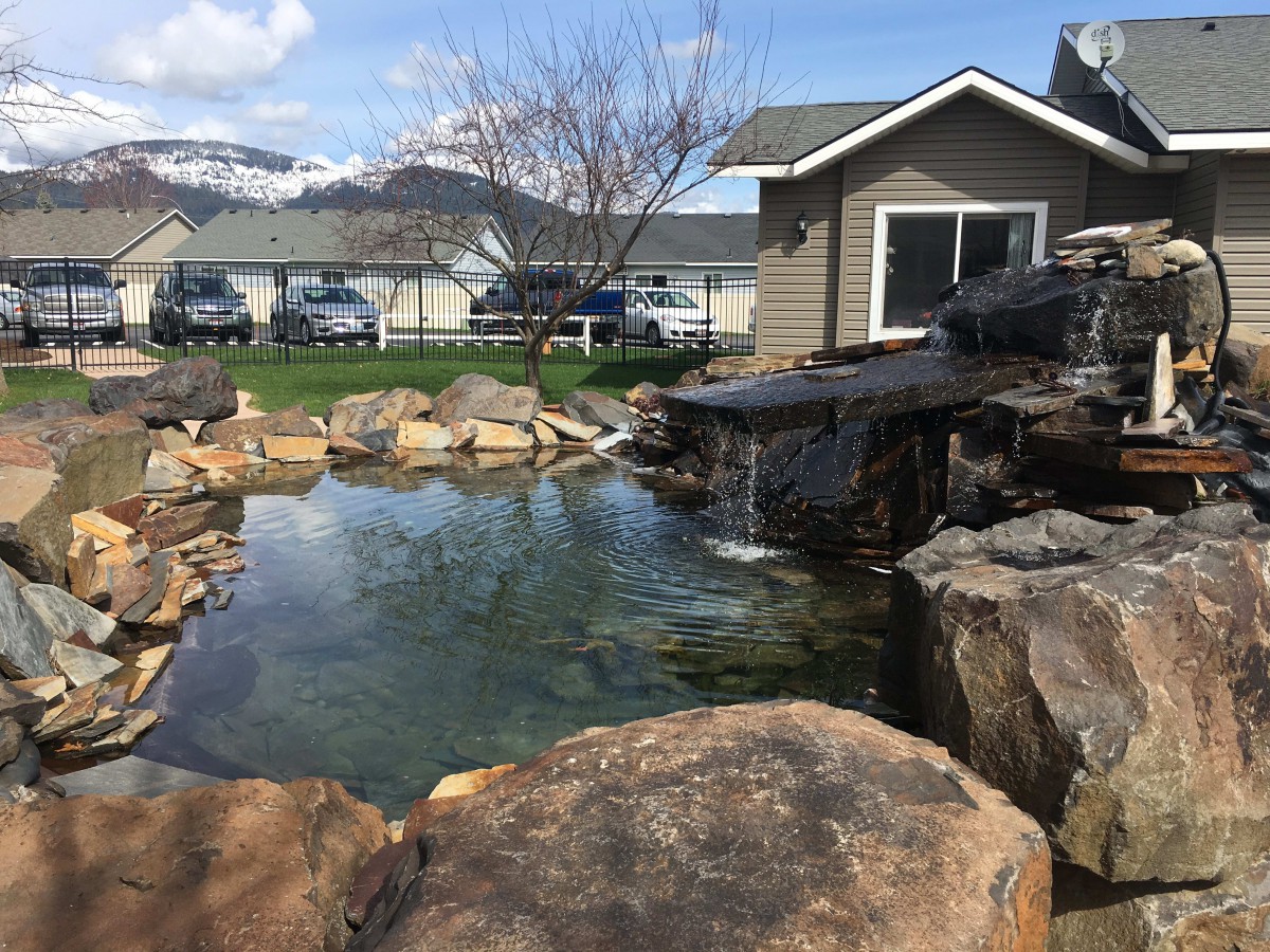 A serene backyard pond with a waterfall surrounded by rocks near a house.