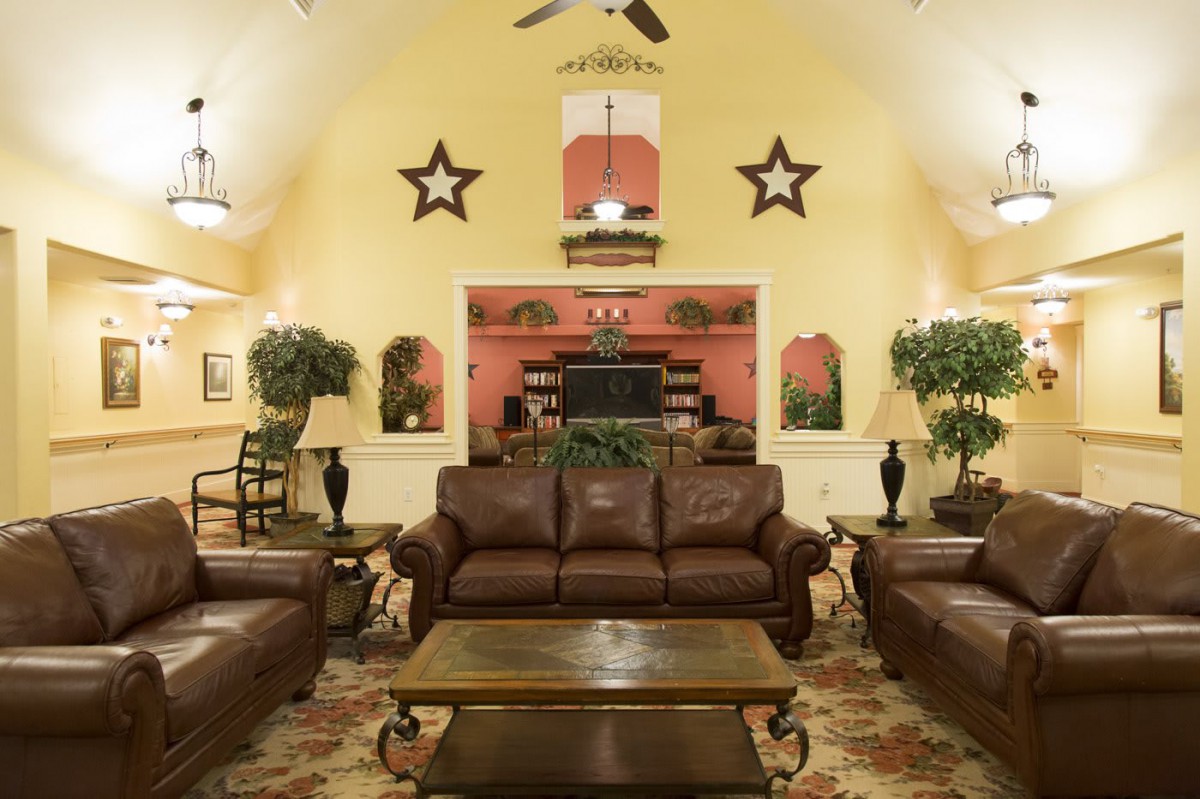 A cozy living room with leather sofas, a central coffee table, decorative plants, and star wall decor.