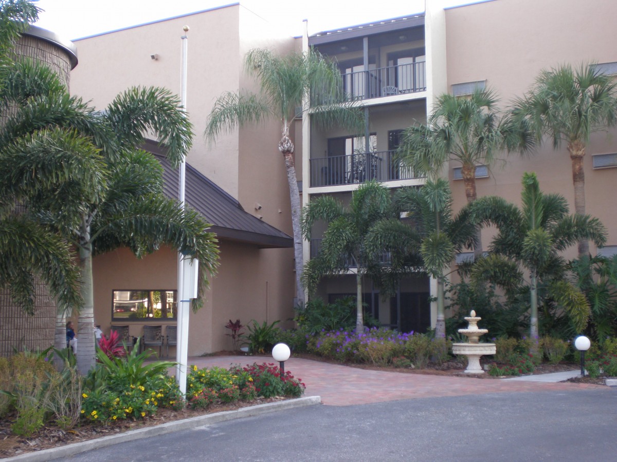 A building entrance surrounded by lush palm trees and landscaping, featuring a small fountain.