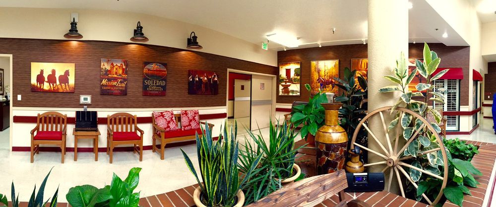 A welcoming lobby featuring vibrant plants, comfortable seating, and colorful artwork.