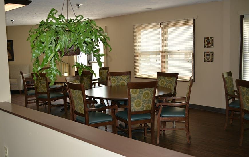 A cozy dining room featuring a large table surrounded by chairs with patterned upholstery, accompanied by an indoor plant and illuminated by natural light from nearby windows.