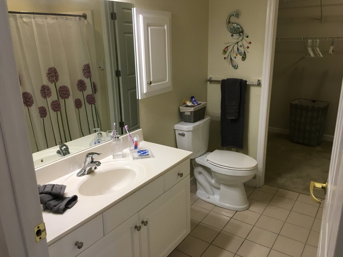A tidy bathroom with a sink, toilet, and decorative elements.