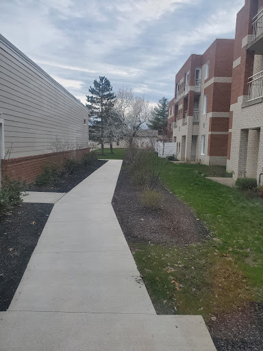 A view of a pathway between apartment buildings, surrounded by grass and trees under a cloudy sky.