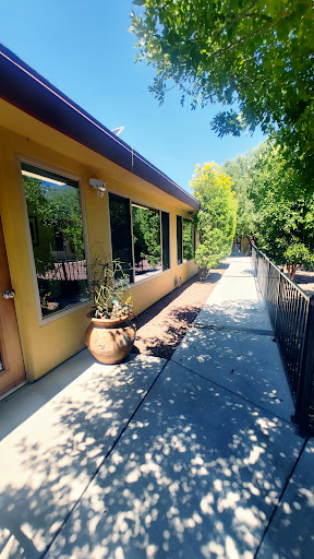 A sunny view of the exterior of a building with large windows and a pathway lined with plants.