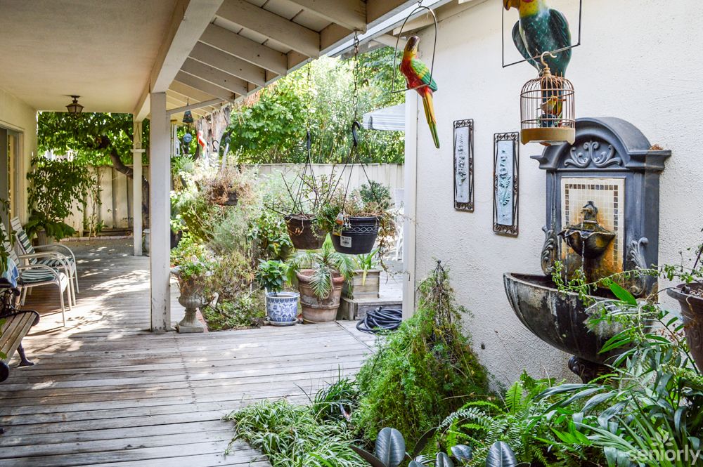 A charming garden patio decorated with lush greenery and colorful parrot ornaments.