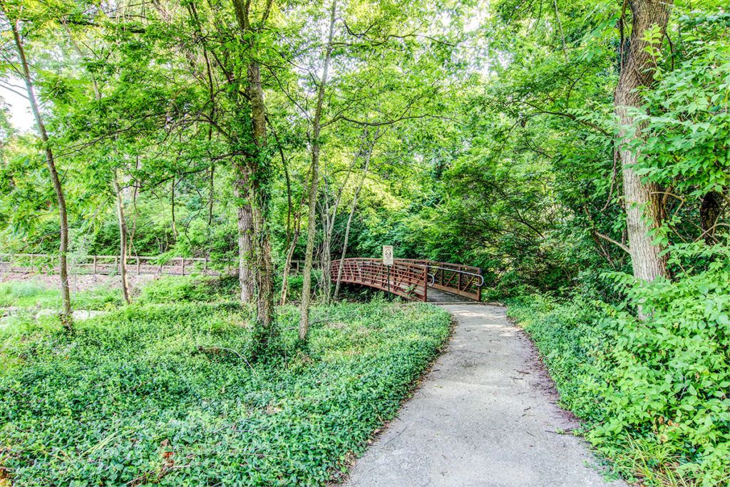 A serene forest path leading to a wooden bridge surrounded by lush greenery.