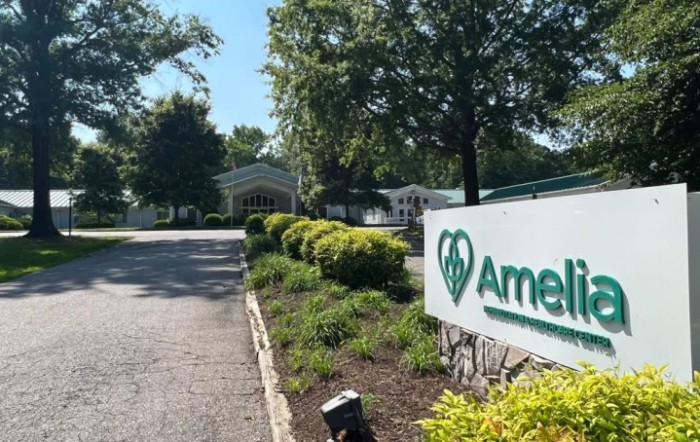 Wellsprings At Amelia