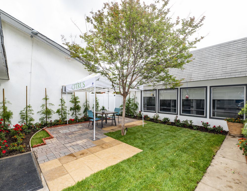 A backyard garden with a patio area and outdoor seating under a tree.