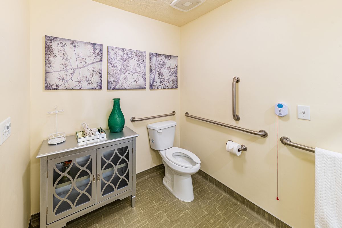 A well-designed, accessible bathroom with safety handrails and decorative elements.