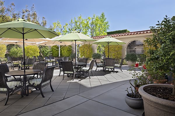 A sunny outdoor patio with tables, chairs, umbrellas, and potted plants.
